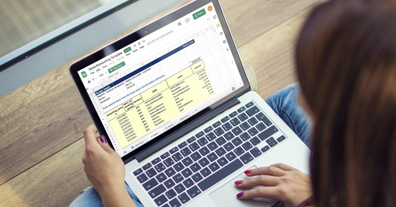 FREE Stora Accounting template