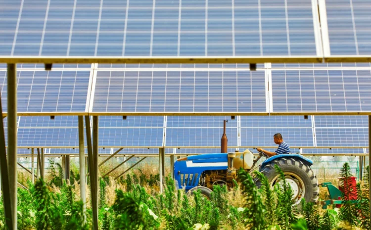  Tarımsal fotovoltaikler Orta Avrupa’nın enerji ihtiyacının yüzde 68’ini karşılayabilir