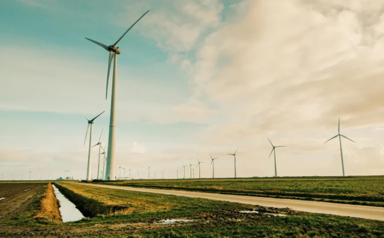  IRENA: Ülkelerin Yenilenebilir Enerji Planları COP28 Hedefinin Gerisinde